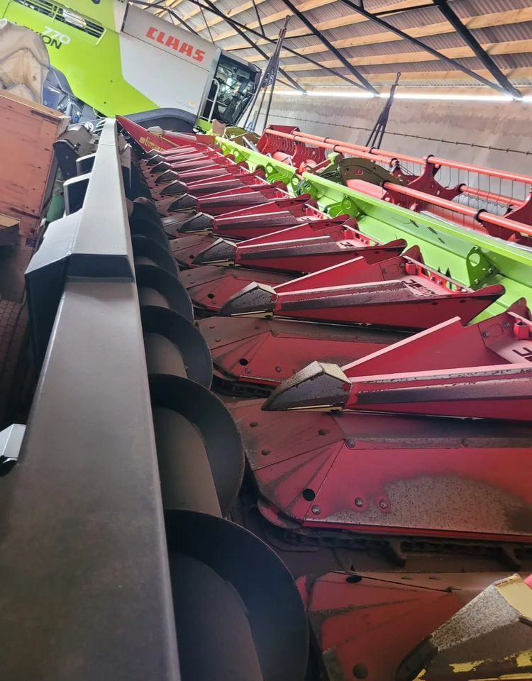 Olimac Drago II - Korrëse misri: foto 2 Olimac Drago II - Korrëse misri: foto 2