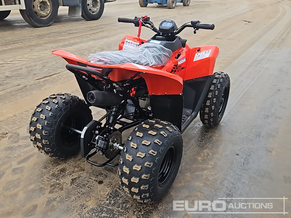 Unused 2025 Skytron Cub - ATV/ Qarku virtual: foto 5 Unused 2025 Skytron Cub - ATV/ Qarku virtual: foto 5