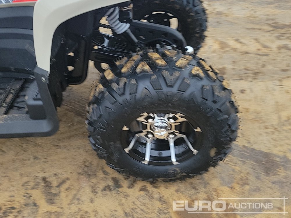 ATV/ Qarku virtual Unused 2025 Titan 250: foto 10