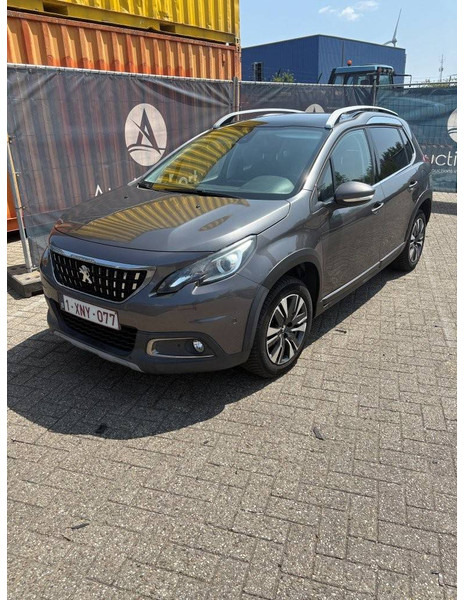 SUV Peugeot 2008 SUV: foto 9 SUV Peugeot 2008 SUV: foto 9