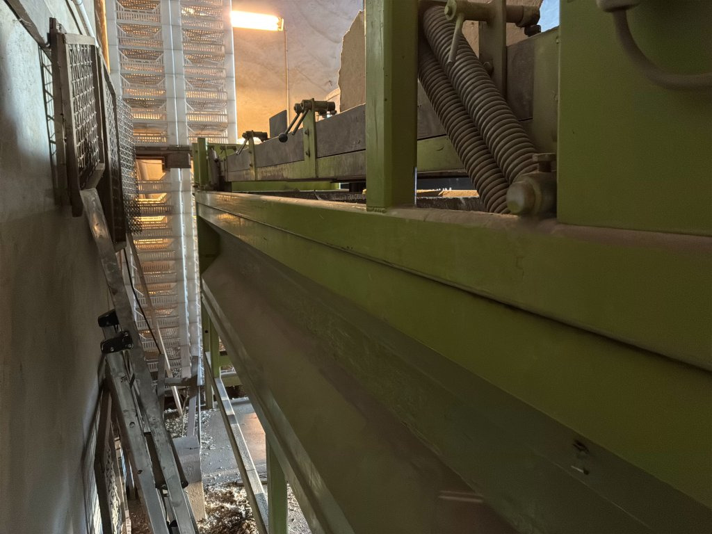 Makinë për patate Skals sorteringslinje: foto 50 Makinë për patate Skals sorteringslinje: foto 50